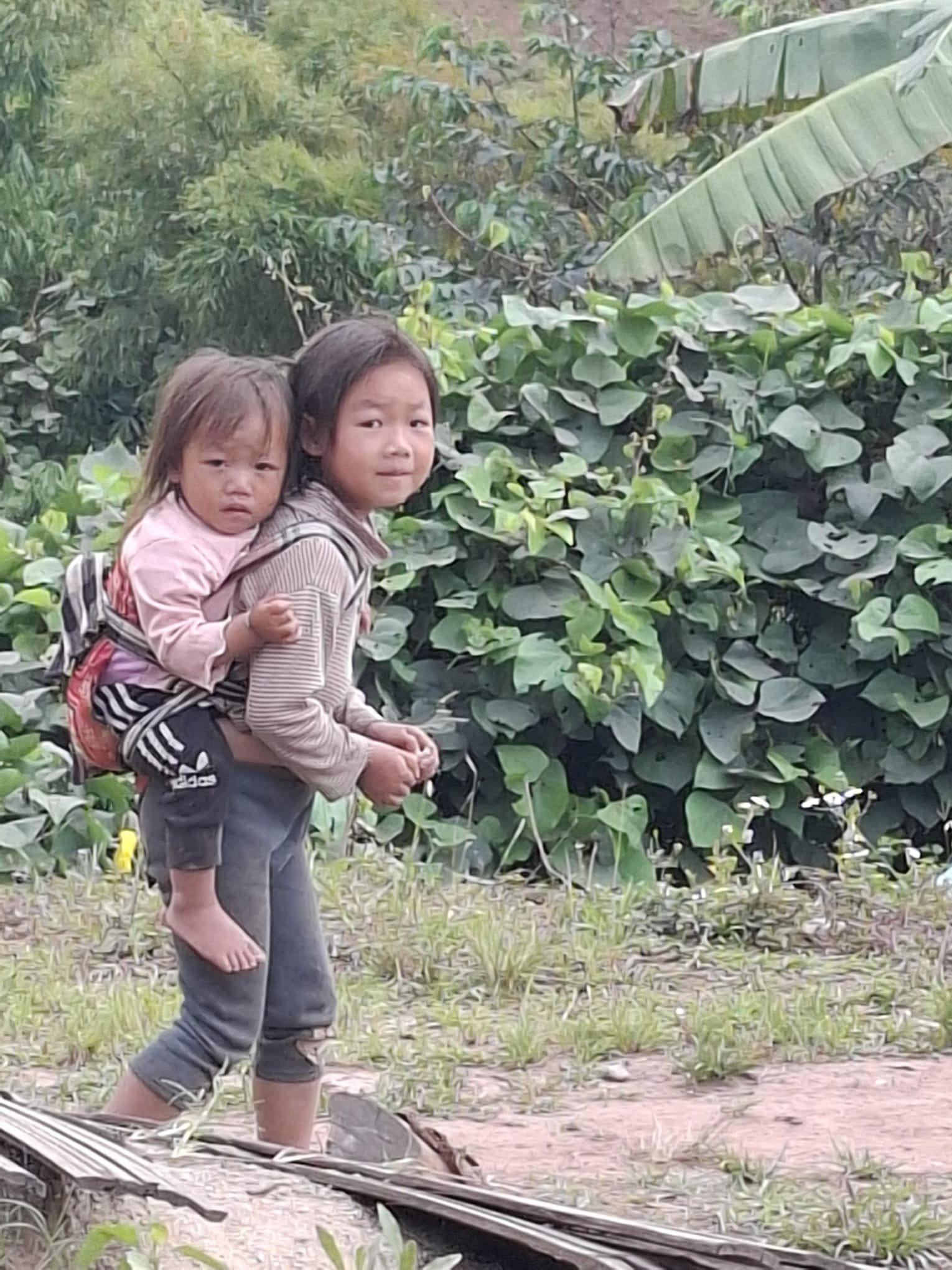 Laos to Vietnam Cycling Adventure Through Mountain Roads: The Ultimate High-Altitude Expedition